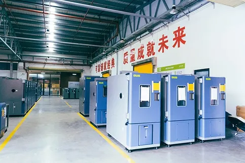 Global Market Expansion