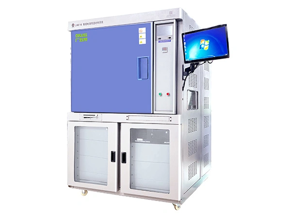 Integrated Circuit IC Dynamic Aging Test System